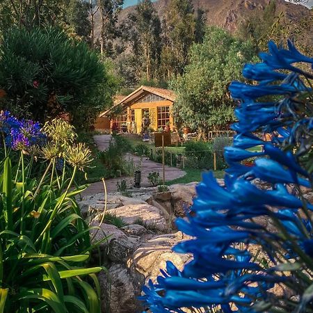 Andean Wings Valley Urubamba Exteriör bild