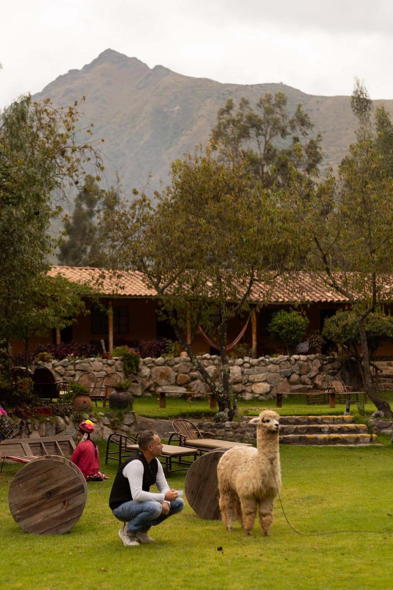 Andean Wings Valley Urubamba Exteriör bild